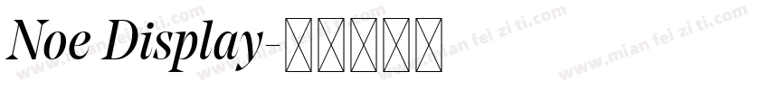 Noe Display字体转换